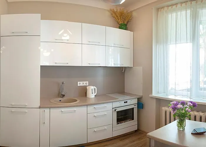 Sauliu Apartamentai ! In The Heart Of Center * クライペダ